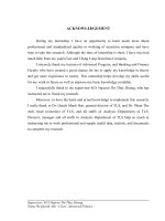 Solutions to improve the activities of fundamental analysis in Thang Long Securities Company