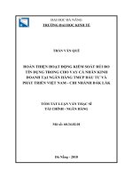 Hoàn thiện hoạt động kiểm soát rủi ro tín dụng trong cho vay cá nhân kinh doanh tại ngân hàng TMCP đầu tư và phát triển việt nam – chi nhánh đắk lắk (tt) 