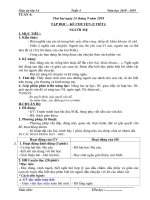 Tuần 4 giáo án lớp 3 soạn theo ĐHPTNLHS năm học 2018   2019 