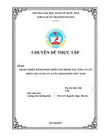 HOÀN THIỆN KÊNH PHÂN PHỐI SẢN PHẨM TẠI CÔNG TY CỔ PHẦN SẢN XUẤT VÀ XUẤT NHẬP KHẨU ĐỨC NAM