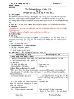 Tuần 6 giáo án lớp 5 soạn theo ĐHPTNLHS năm học 2018   2019 