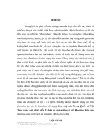 TIỂU LUẬN đóng góp của trung quốc và việt nam trong việc phát triển lý luận về chủ nghĩa xó hội khoa học hiện nay