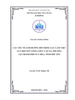 Các yếu tố ảnh hưởng đến động lực làm việc của đội ngũ công chức cấp xã, phường tại thành phố tuy hòa, tỉnh phú yên 