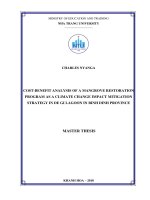 Cost benefit analysis of a mangrove restoration program as a climate change impact mitigation strategy in de gi lagoon, binh dinh province 