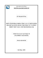 Phân tích hoạt động cho vay cá nhân kinh doanh tại ngân hàng TMCP đầu tư và phát triển việt nam – chi nhánh đắk lắk (tt) 