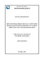 Phân tích hoạt động cho vay cá nhân kinh doanh tại ngân hàng TMCP đầu tư và phát triển việt nam   chi nhánh đắk nông (tt) 