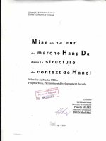 Mise en valeur du marche hang da dans le structure du context de hanoi (tt) 