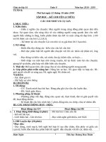 Tuần 8 giáo án lớp 3 soạn theo ĐHPTNLHS năm học 2018   2019 