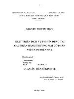 Phát triển dịch vụ phi tín dụng tại các ngân hàng thương mại cổ phần Việt Nam.DOC