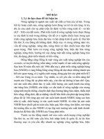 Phát triển nông nghiệp hàng hóa ở vùng đồng bằng sông hồng TT TIENG VIET 