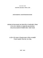 ĐÁNH GIÁ đa DẠNG DI TRUYỀN và độ độc TÍNH của các CHỦNG VI KHUẨN RALSTONIA SOLANACEARUM ở MIỀN bắc VIỆT NAM