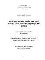 BIỆN PHÁP PHÁT TRIỂN đội NGŨ GIẢNG VIÊN TRƯỜNG đại học AN GIANG