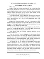 SKKN một số kĩ năng tổ chức dạy học theo nhóm mô hình trường học VNEN 