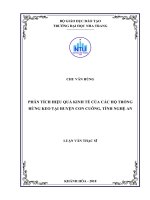 Phân tích hiệu quả kinh tế của các hộ trồng rừng keo tại huyện con cuông, tỉnh nghệ an 