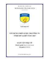 Xây dựng chiến lược cho công ty tnhh mỹ lệ đến năm 2025 
