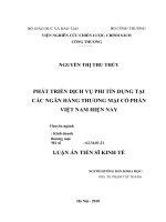 Phát triển dịch vụ phi tín dụng tại các ngân hàng thương mại cổ phần việt nam FILE gốc 