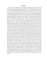 Thiết kế chương trình tiếng anh chuyên ngành cho trường cao đẳng công nghiệp huế tóm tắt luận án tiếng việt