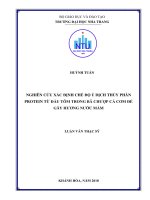 Nghiên cứu xác định chế độ ủ dịch thủy phân protein từ đầu tôm trong bã chượp cá cơm để gây hương nước mắm 