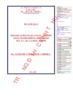 Hoàn thiện công tác quản lý chương trình xây dựng nông thôn mới trên địa bàn huyện lệ thủy, tỉnh quảng bình 