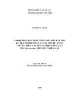 Ảnh hưởng biện pháp tưới nước mặn kết hợp hỗ trợ dinh dưỡng và chất điều hòa sinh trưởng thực vật để cải thiện năng suất lúa (Oryza sativa) trên đất nhiễm mặn
