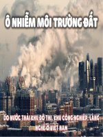 Ô nhiễm môi trường đất do nước thải khu đô thị khu CN làng nghề ở Việt Nam