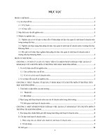 skkn một số biện pháp chỉ đạo nhằm nâng cao chất lượng sinh hoạt tổ chuyên môn ở trường tiểu học