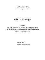 GIẢI PHÁP VƯỢT RÀO VIỆC MỸ ÁP DỤNG THUẾ CHỐNG BÁN PHÁ GIÁ ĐỐI VỚI NGÀNH THÉP XUẤT  KHẨU CỦA VIỆT NAM