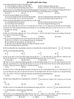 de luyen dao dong day du cac dang