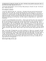 Phong tuc tet nguyen dan