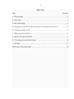 Tiểu luận xã hội học pháp luật