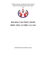 BÁO CÁO THÍ NGHIỆM TRÀ CÀ PHÊ CA CAO