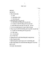 Tiểu luận môn xã hội học giới