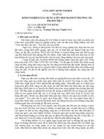 Sáng kiến kinh nghiệm  một vài kinh nghiệm xây dựng liên đội vững mạnh 