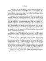 Tiểu luận Những biến đổi tâm lý của giai cấp nông dân hiện nay