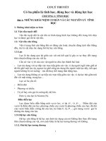 giao trinh  co ly thuyet