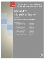 báo cáo xstk thầy huy