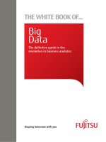 White book of big data 