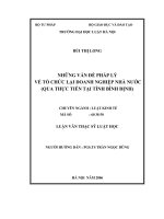 NHỮNG vấn đề PHÁP lý về tổ CHỨC lại DOANH NGHIỆP NHÀ nước (QUA THỰC TIỄN tại TỈNH BÌNH ĐỊNH) 