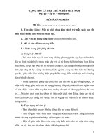 Mô tả  sáng kiến kinh nghiệp về toán học cho trẻ mầm non