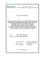 Tận dụng bã chưng cất hốn hợp lên men rơm rạ thành bioethanol làm nguồn dinh dưỡng thay thế bột ngô chuyên dụng trong quá trình sản xuất bioethanol theo công nghệ thủy phân và lên men đồng thời 
