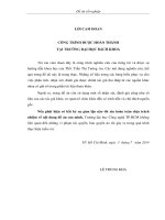 Khảo sát quá trình lên men bioethanol sử dụng nguyên liệu vỏ cacao (theobroma cacao) 