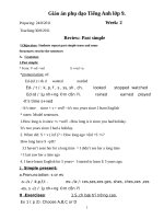 giáo án phụ đạo tiếng anh 9 