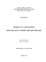 Hệ động lực cho mô hình động học rừng với điều kiện biên hỗn hợp 
