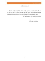 Nghiên cứu quy trình công nghệ sản xuất nước quả hỗn hợp bổ sung curcumin 