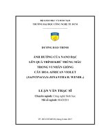 Ảnh hưởng của nano bạc lên quá trình khử trùng mẫu trong vi nhân giống cây hoa african violet (saintpaulia ionanthah  wendl ) 