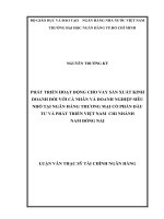 Phát triển hoạt động cho vay sản xuất kinh doanh đối với cá nhân và doanh nghiệp siêu nhỏ tại ngân hàng thương mại cổ phần đầu tư và phát triển việt nam chi nhánh nam đồng nai 