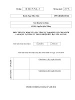 PHÂN TÍCH TÁC ĐỘNG CỦA CÁC CÔNG CỤ TẠO ĐỘNG LỰC CHO NGƯỜI  LAO ĐỘNG TẠI CÔNG TY TRÁCH NHIỆM HỮU HẠN TÂN AN THÁI