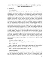 PHÂN TÍCH TÁC DỤNG CỦA CÁC CÔNG CỤ TẠO ĐỘNG LỰC TẠI  CÔNG TY CỔ PHẦN SOFTECH