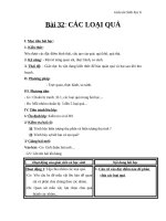 Giáo án Sinh học 6 bài 32: Các loại quả