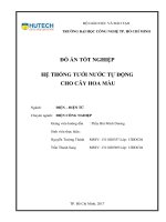 Hệ thống tưới nước tự động cho cây hoa màu